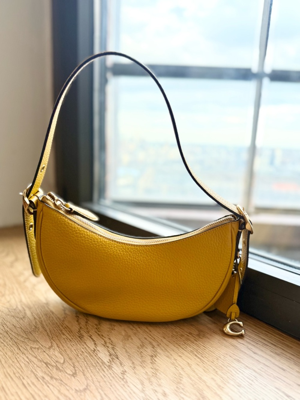 COACH Luna Crescent Shoulder Bag